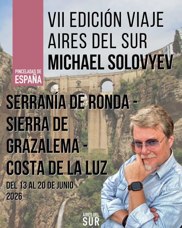Aires del Sur VII Edición
